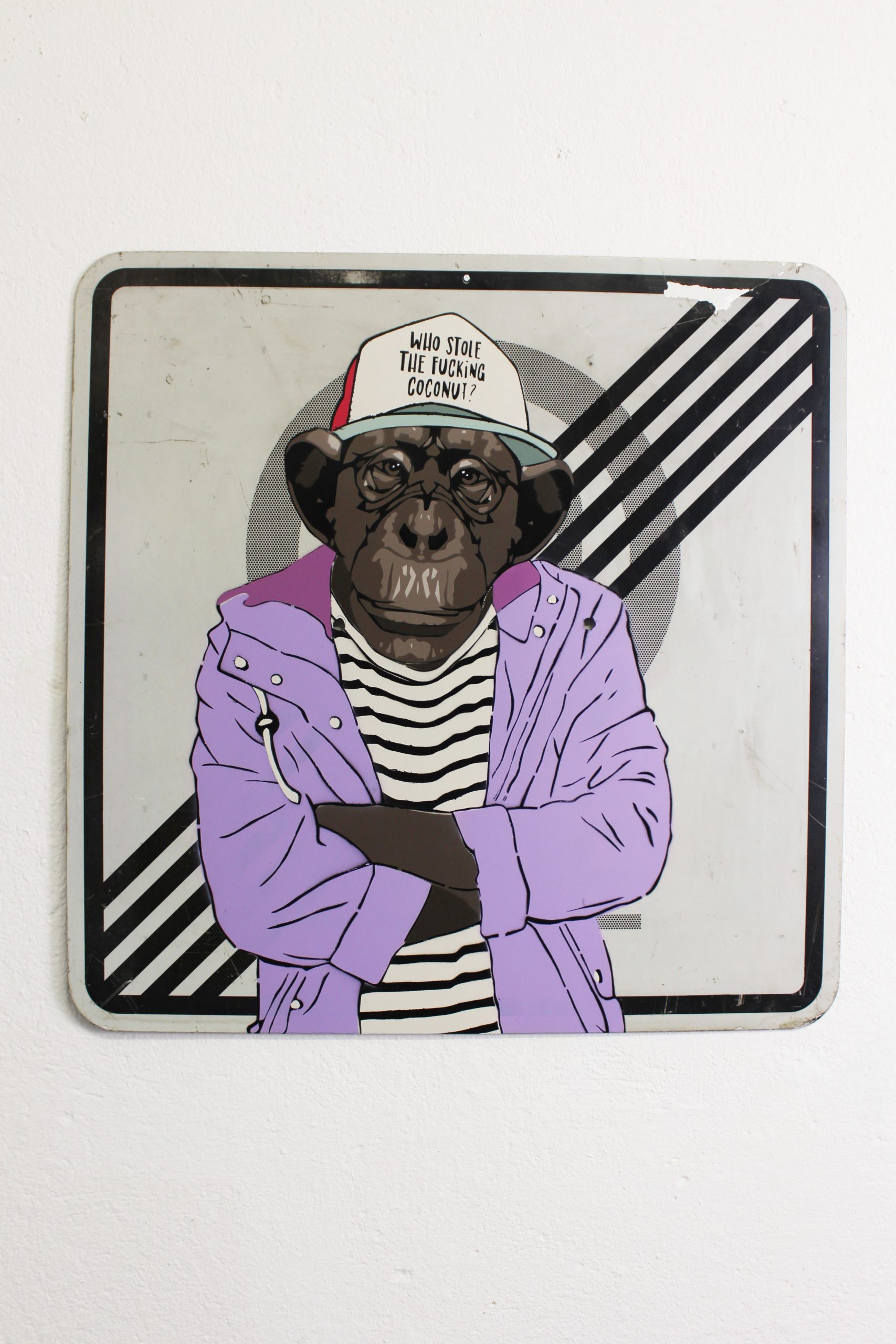 who stole the fucking coconut? / Lila Friesennerz