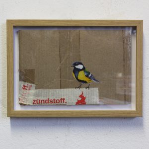 Blaumeise zündstoff