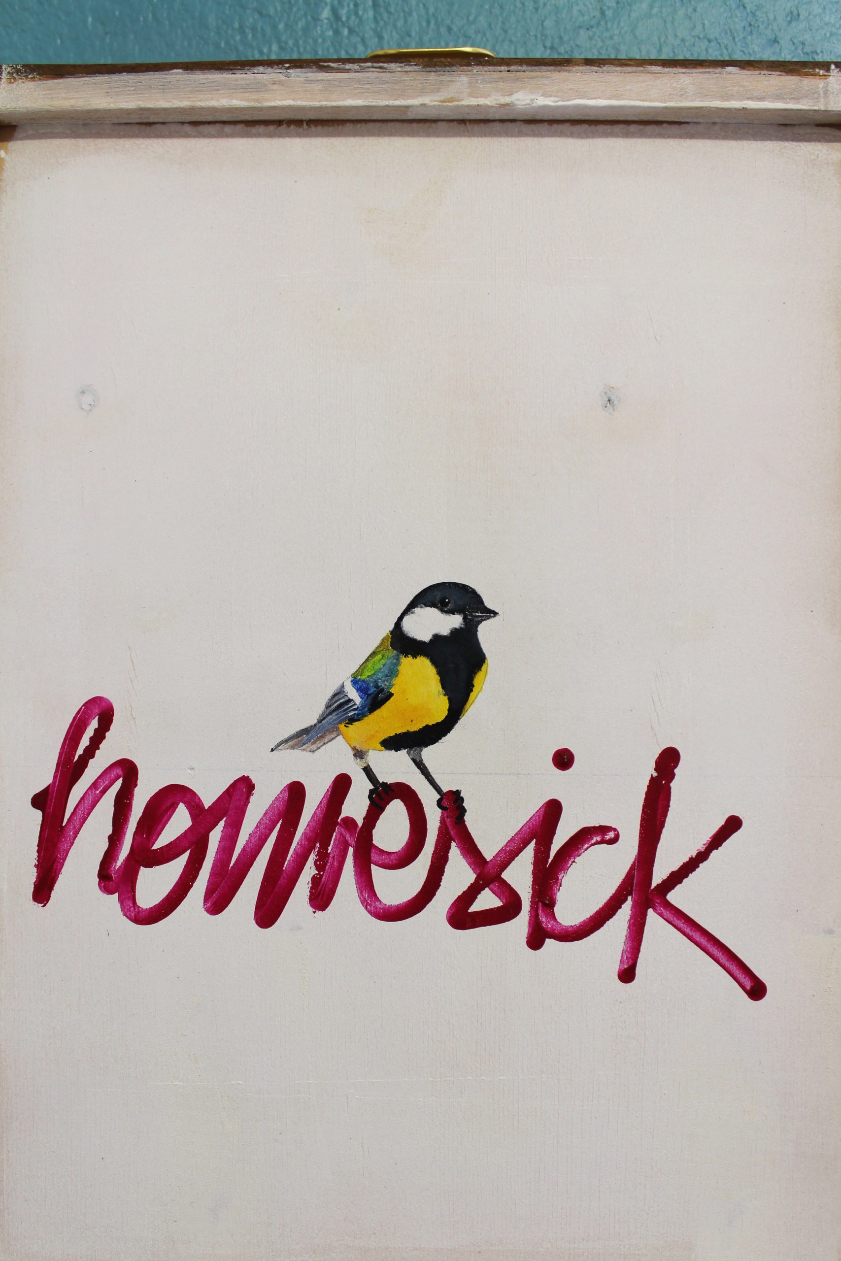 HOMESICK BIRDY